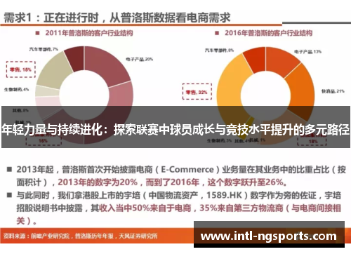 年轻力量与持续进化：探索联赛中球员成长与竞技水平提升的多元路径